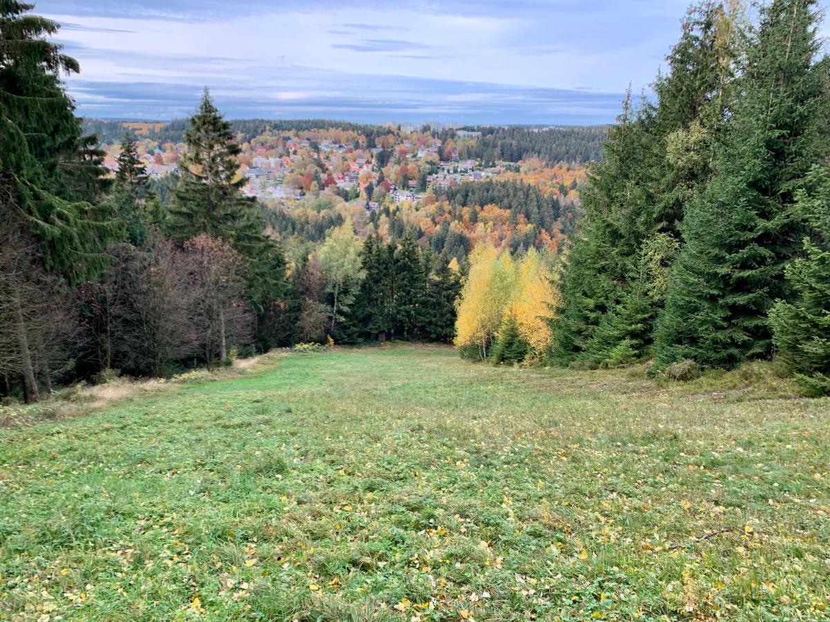 Apartment Seeblick Am Bocksberg - Hahnenklee "Vier Jahreszeiten" 戈斯拉尔 外观 照片