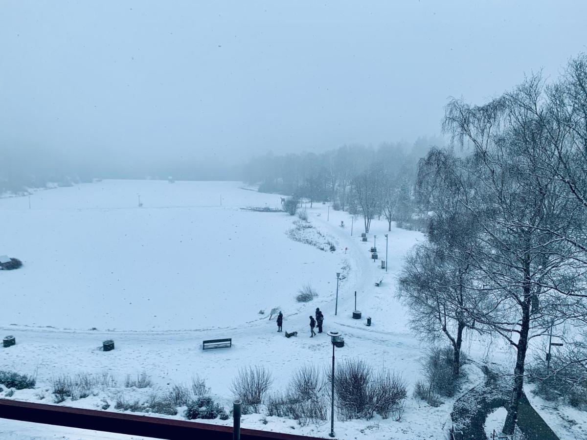 Apartment Seeblick Am Bocksberg - Hahnenklee "Vier Jahreszeiten" 戈斯拉尔 外观 照片