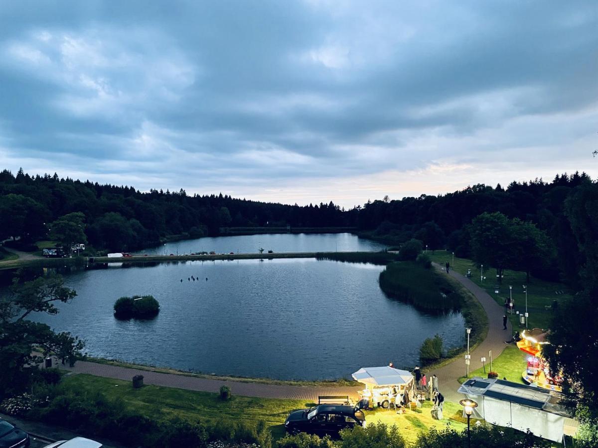 Apartment Seeblick Am Bocksberg - Hahnenklee "Vier Jahreszeiten" 戈斯拉尔 外观 照片